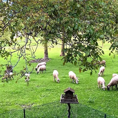 Ortanella, Al Pozzo Vecchio Appartement