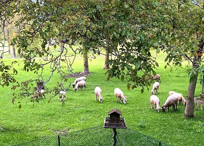Ortanella, Al Pozzo Vecchio Daire